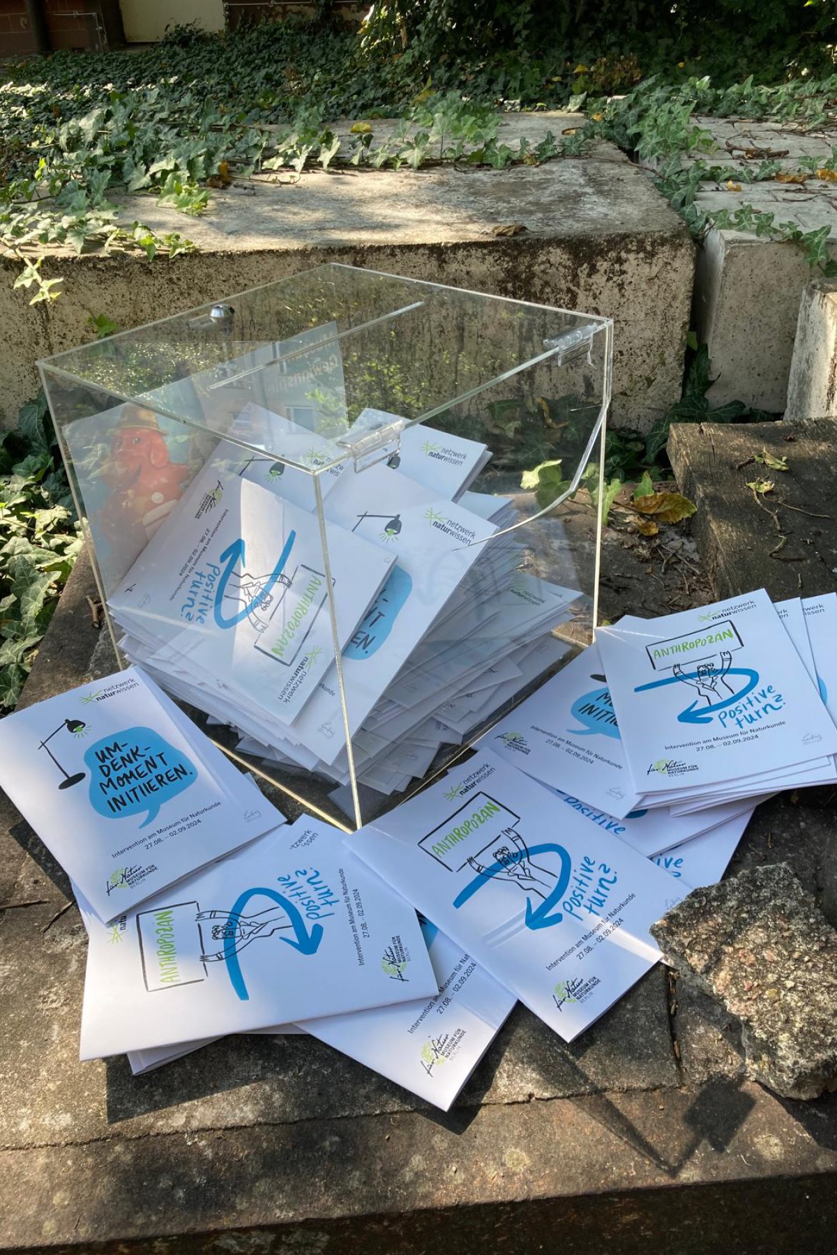 Durchsichtige Box mit Umfragen gefüllt. Ein paar Umfragen liegen noch vor der Box.