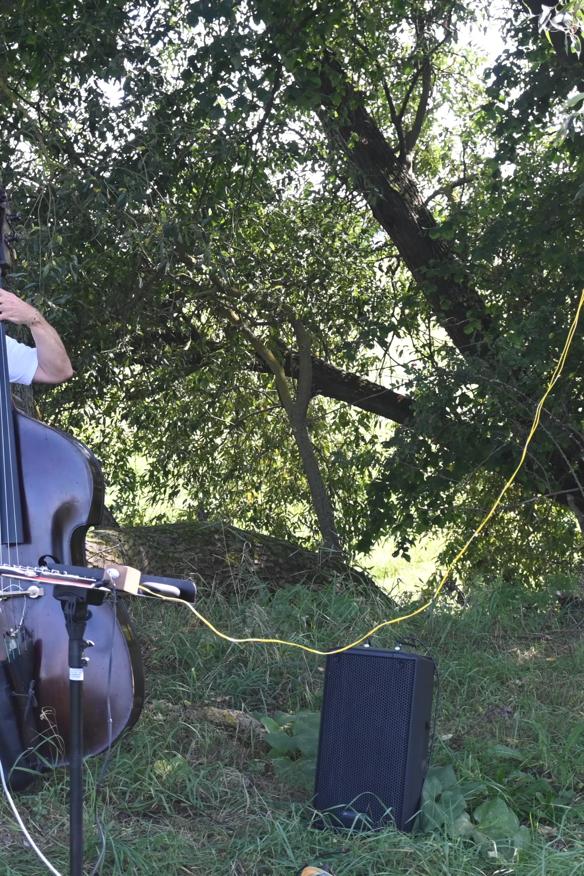 Kurt Holzkämper wird beim Kontrabassspielen zu den Geräuschen der Mikrofonierung gezeigt.