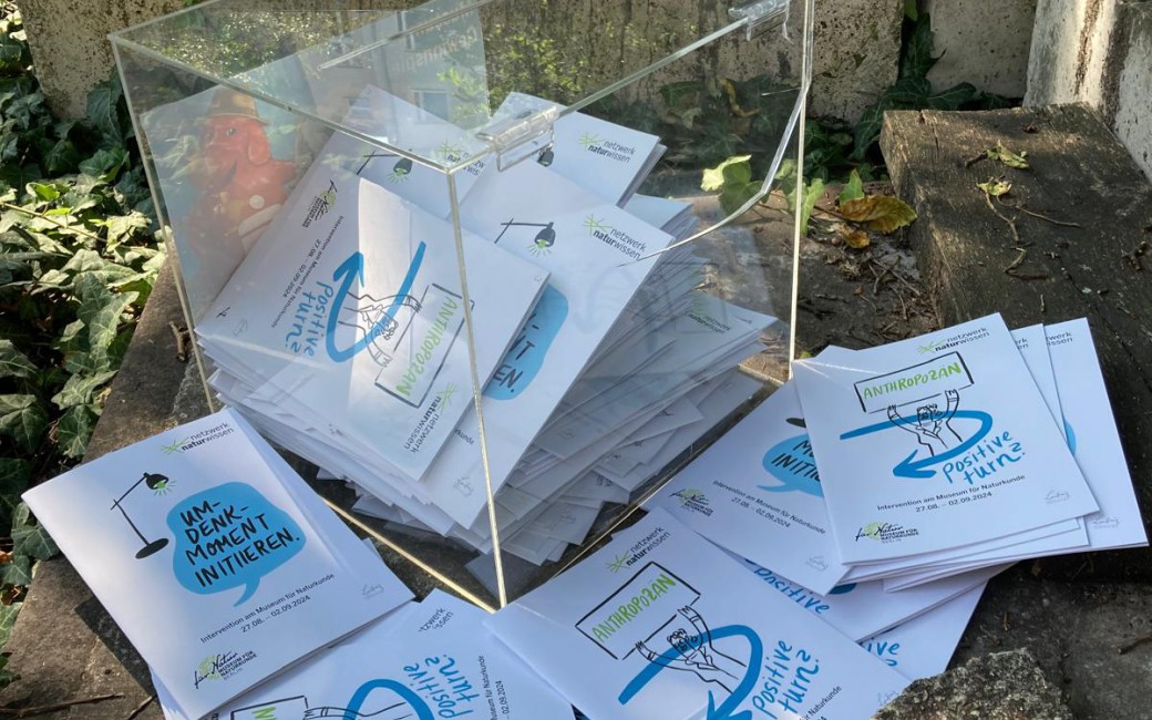 Durchsichtige Box mit Umfragen gefüllt. Ein paar Umfragen liegen noch vor der Box.