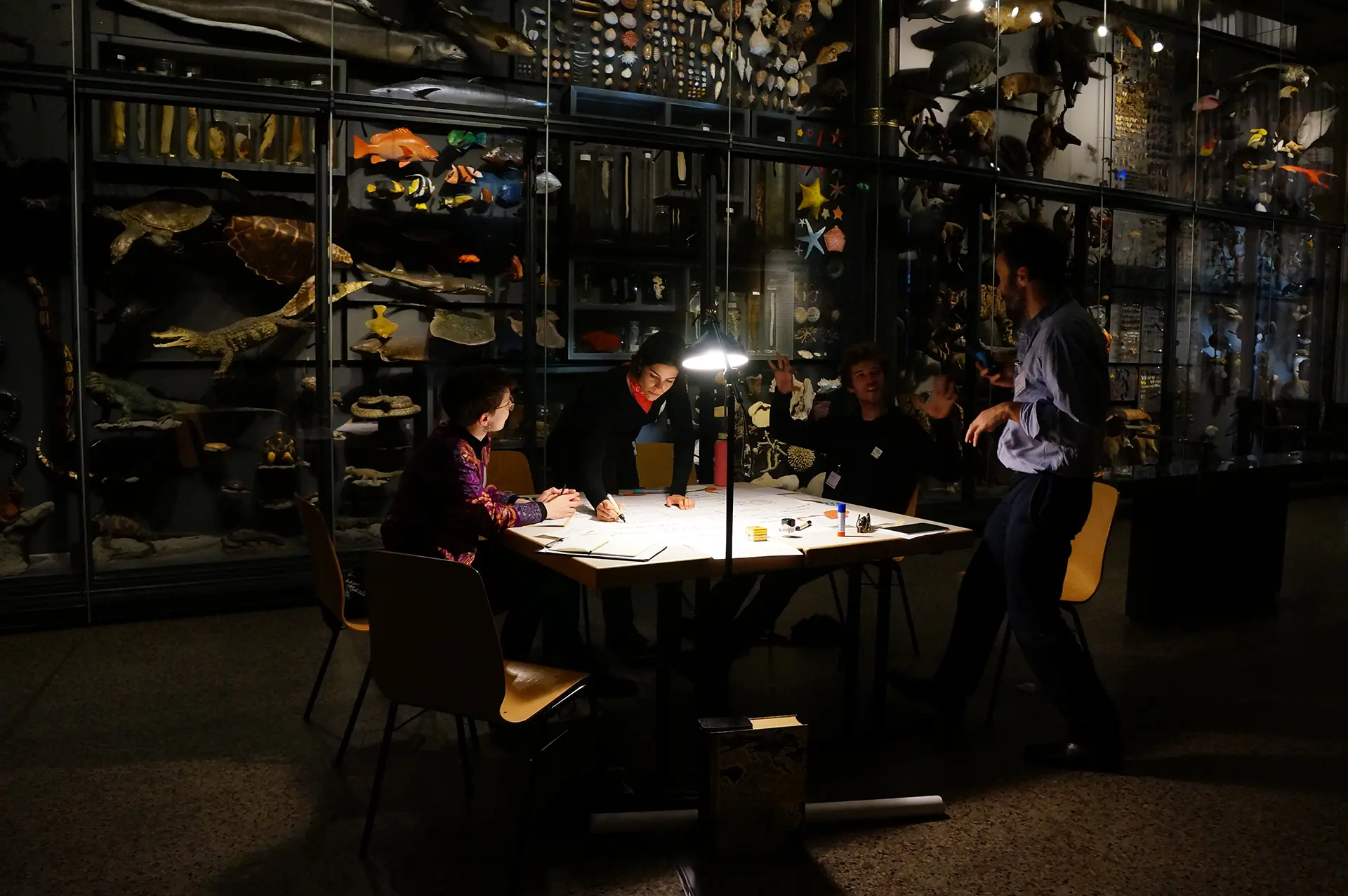 Die Netzwerkler:innen im Arbeitsprozess sowie die Ergebnisse werden gezeigt.