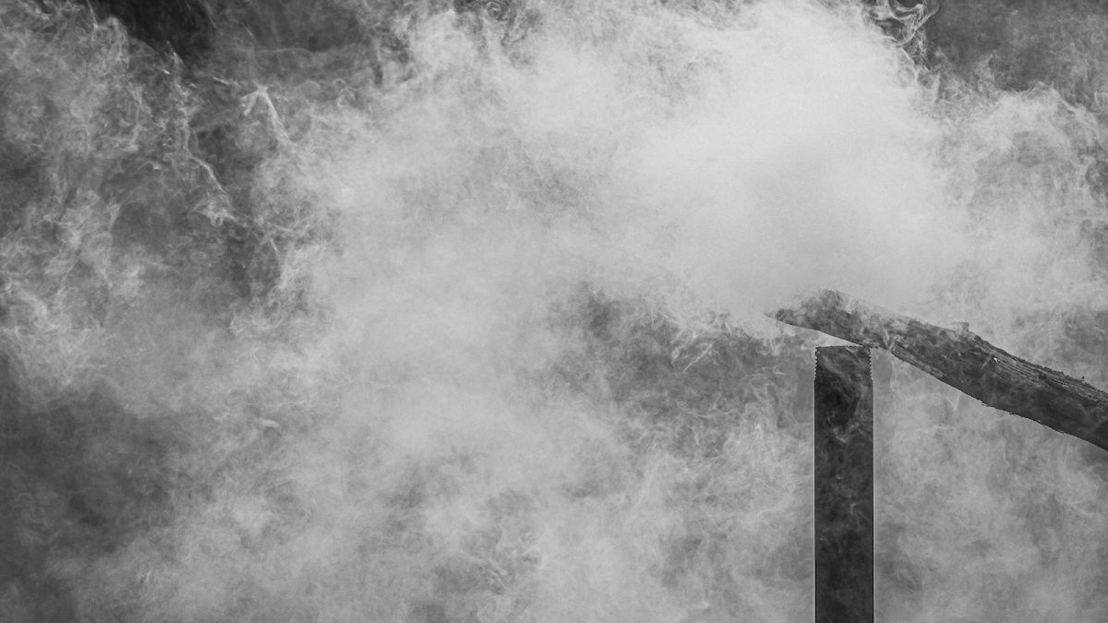 Rauch, der beim Köhlern entsteht