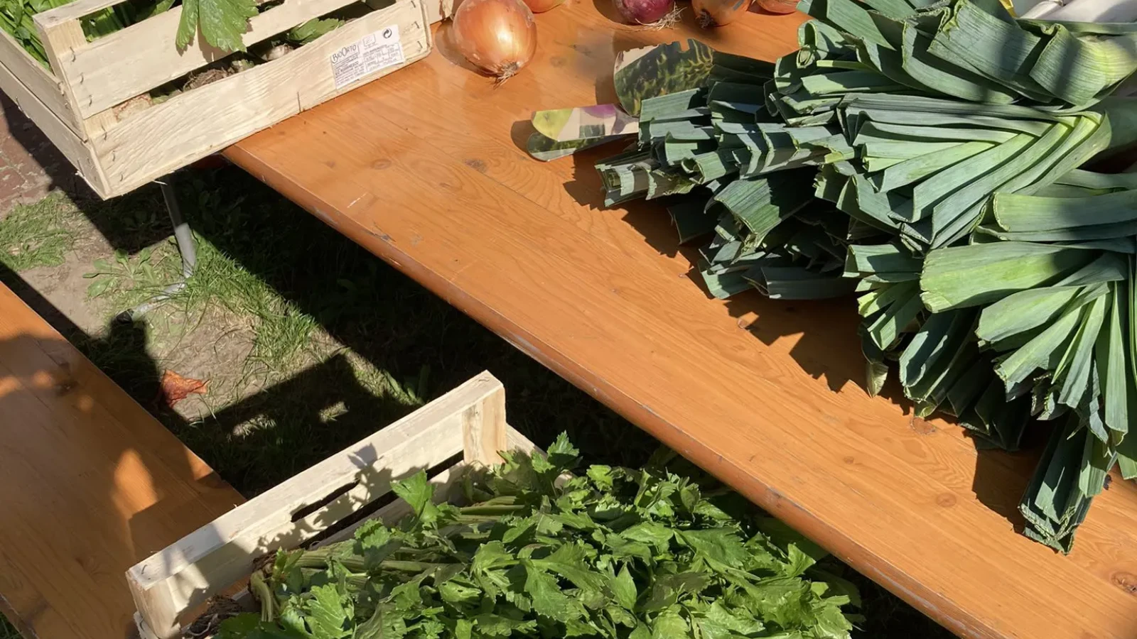 Bildergalerie vom gesammelten Essen, der Zubereitung und dem gemeinsamen Verzehr