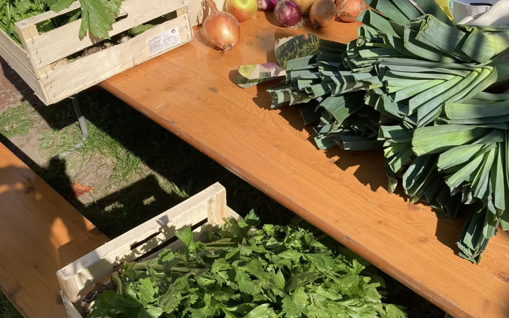 Auf einem Tisch in einem Garten stehen Holzkisten mit verschiedenem Gemüse und Kräutern.