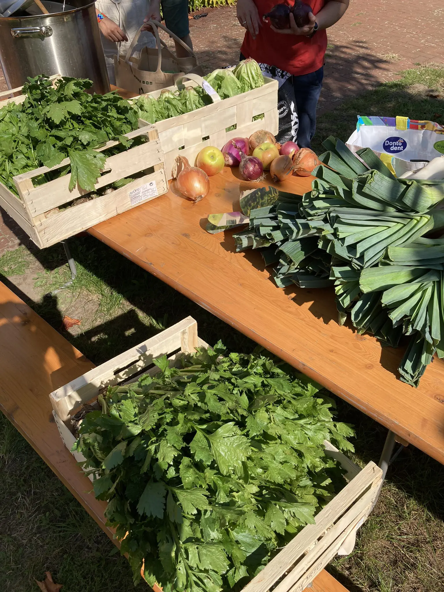 Auf einem Tisch in einem Garten stehen Holzkisten mit verschiedenem Gemüse und Kräutern.